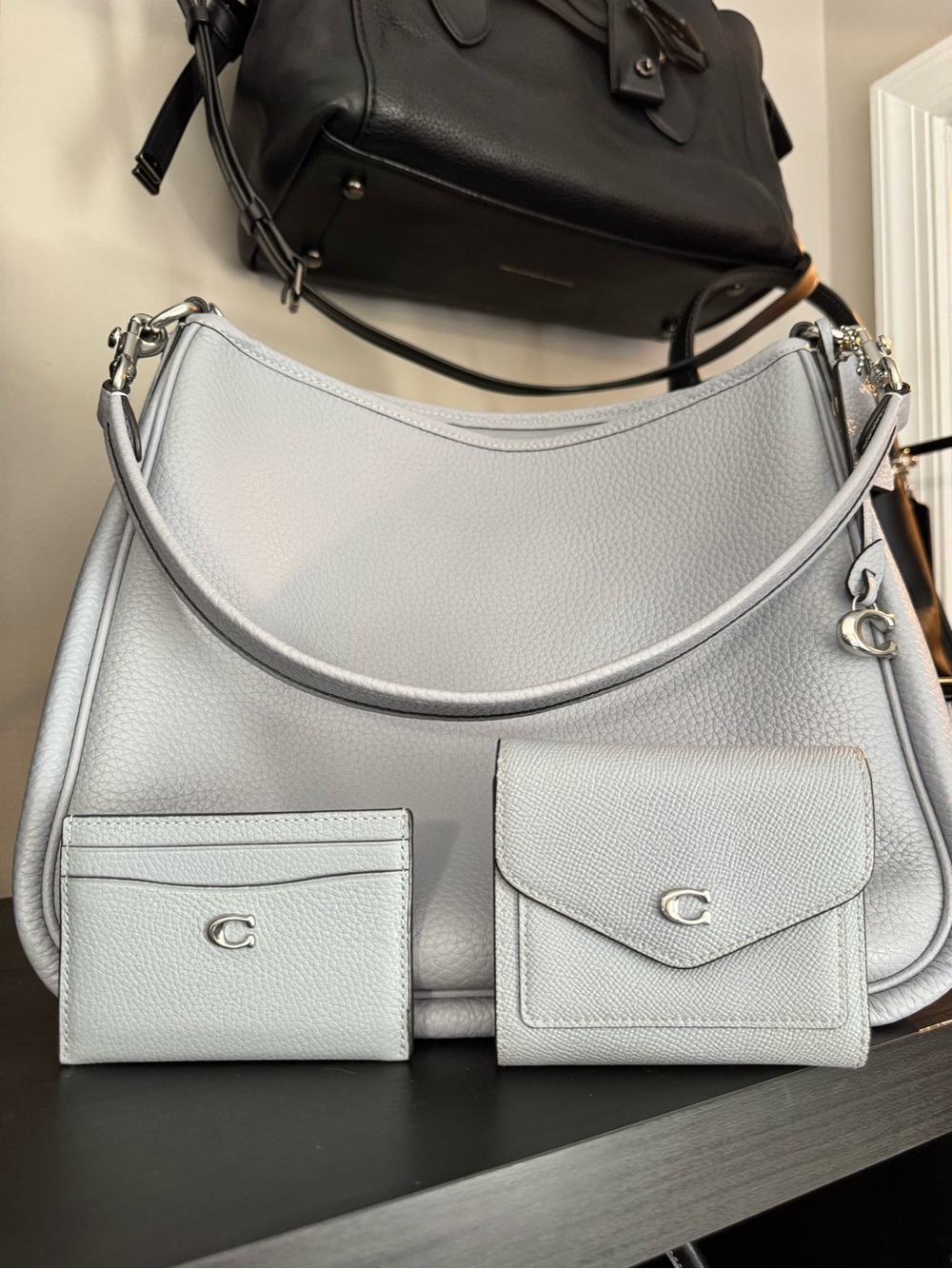 Coach Cary Shoulder Bag in Gray Blue w/ wallets